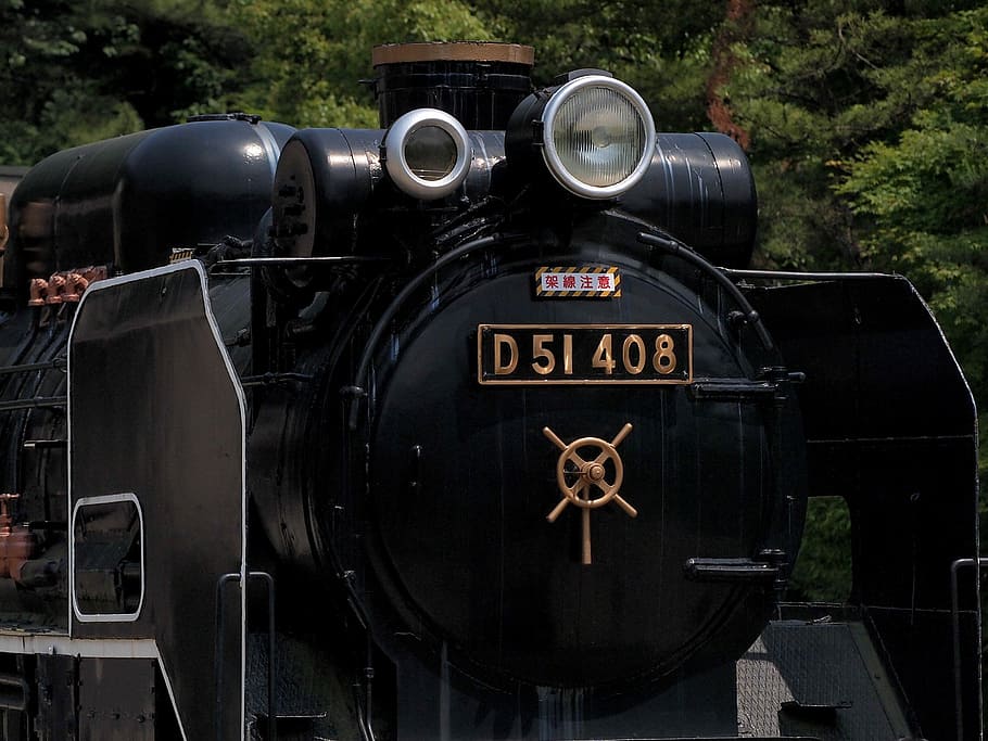 ikuta-ryokuchi-locomotive-d51-steam-locomotive.jpg