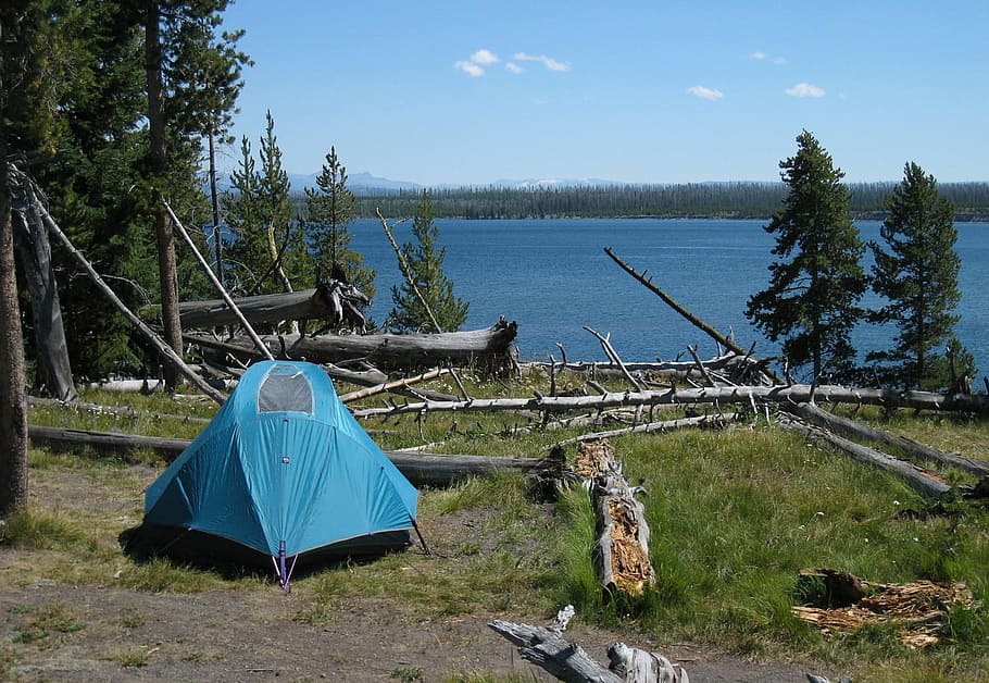 biru, kubah tenda, tubuh, air, berkemah, tenda, rekreasi, di luar ruangan, petualangan, alam