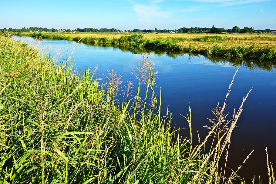 waterway, grassy banks, meadows, rural, landscape, dutch landscape, polder, middelpolder, netherlands, water