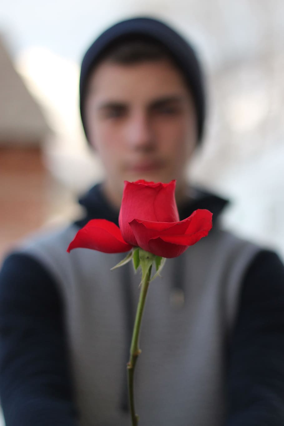 Love, Valentine, Male, rose, young, gift, in love, flower, red, rose - flower