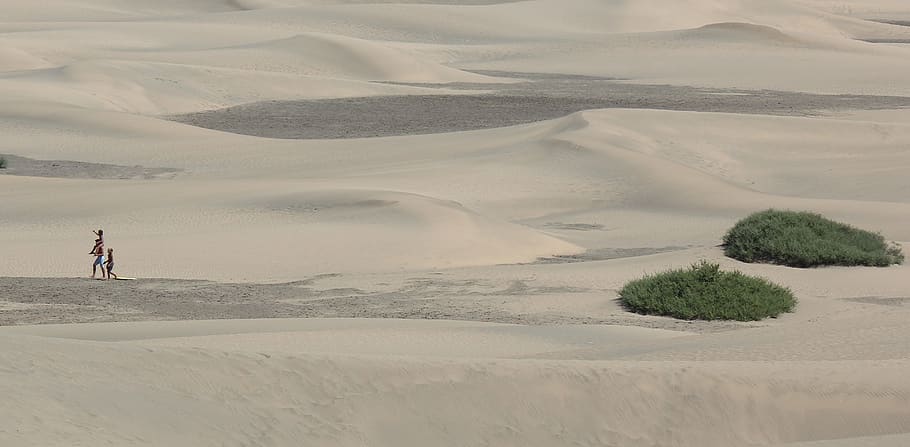 desierto, naturaleza, tierra, paisaje, duna de arena, arena, medio ambiente, paisajes: naturaleza, una persona, belleza en la naturaleza
