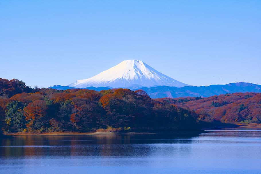 mount fuji, japan, japan, sayama lake, reservoir, landscape, world heritage site, autumnal leaves, fuji san, sayama hill, fuji