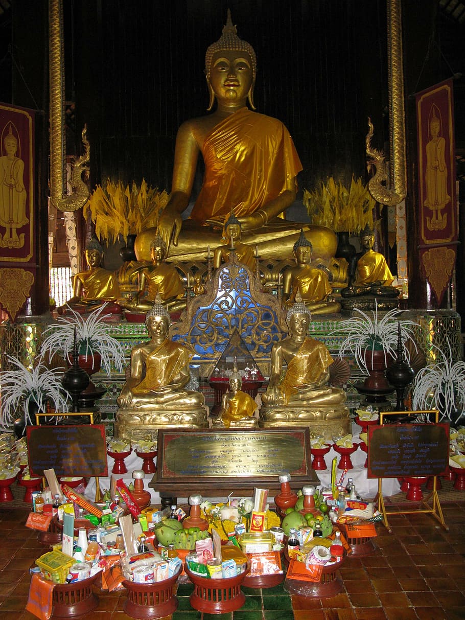 chiang mai, temple, buddha, gold, buddhism, sculpture, statue, belief, religion, spirituality