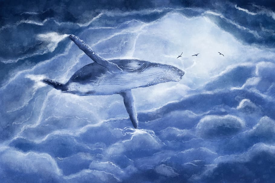 blue fish illustration, the whale, vráskavec, clouds, fantasy, flight, blue, grey, animal themes, animal