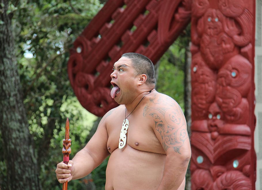 homem, mostrando, língua, exploração, vara, dia, maori, fazendo uma careta, nova zelândia, cultura
