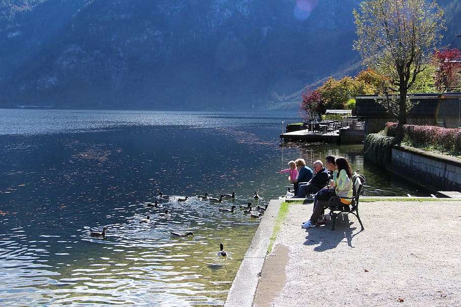 people, children, autumn, peaceful, calm, family time, nature, ducks, blue water, lake