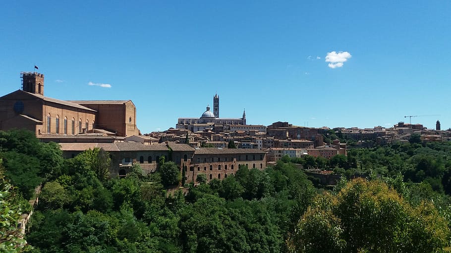 siena, landscape, summer, tuscany, tree, plant, architecture, building exterior, built structure, the past
