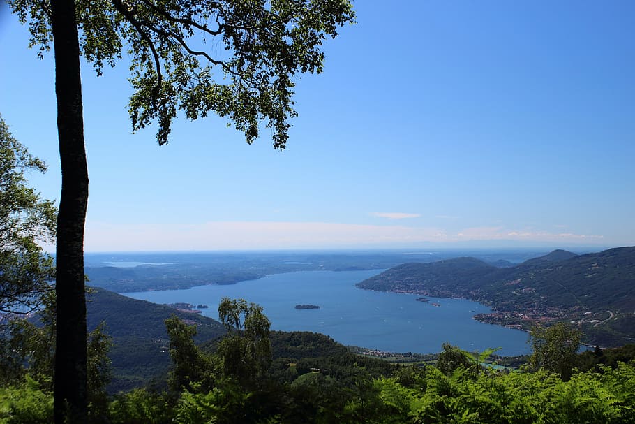 italy, lago maggiore, baveno, isola bella, isola superiore, landscape, natural, tree, scenics - nature, plant