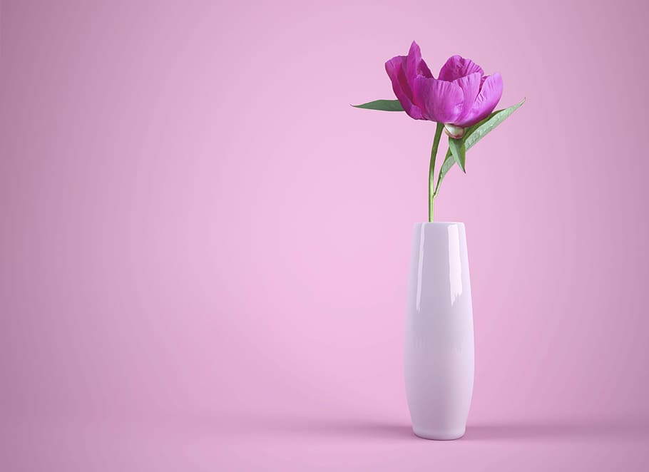 still, life photography, purple, petaled flower, white, ceramic, vase, flower, flowerpot, colorful
