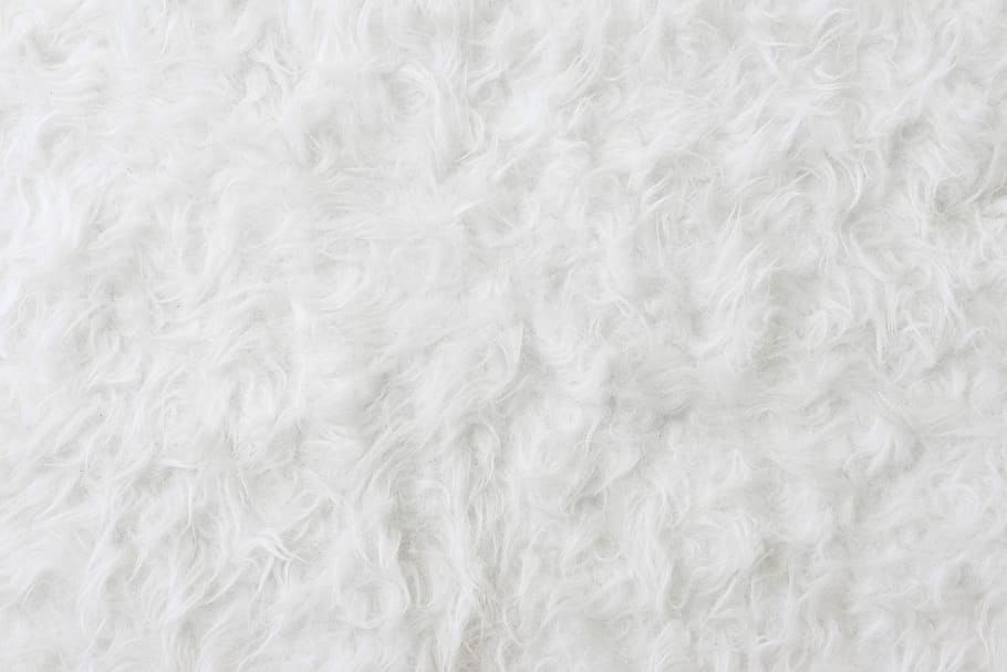 eco fur pattern background, White, Eco, Fur, Pattern, Background, minimalism, minimalistic, room for text, simple