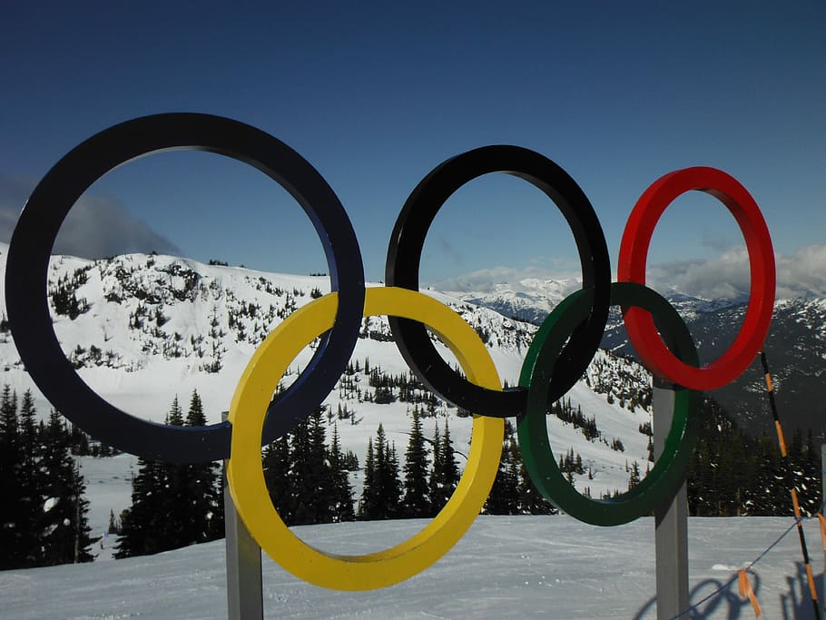 símbolo olímpico sinalização, pinheiros, olímpico, assobiador, anéis, neve, ninguém, dia, inverno, temperatura fria
