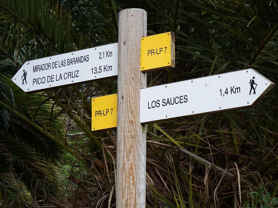 crossroads sign, llano clara, san andrés y sauces, la palma, cc0, communication, text, western script, guidance, plant