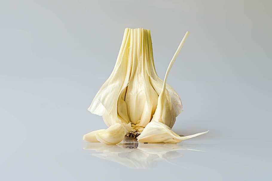 Garlic, Head, Pod, Condiment, head of garlic, kitchen, garden plant, allium sativum, studio shot, food