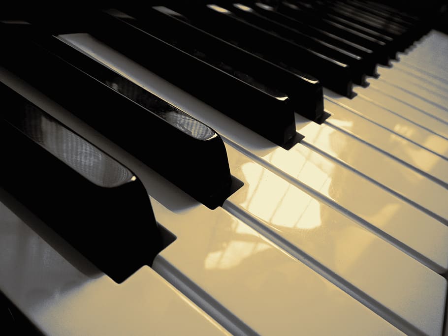 putih, hitam, listrik, keyboard, piano, musik, instrumen, kunci, organ, hitam dan putih