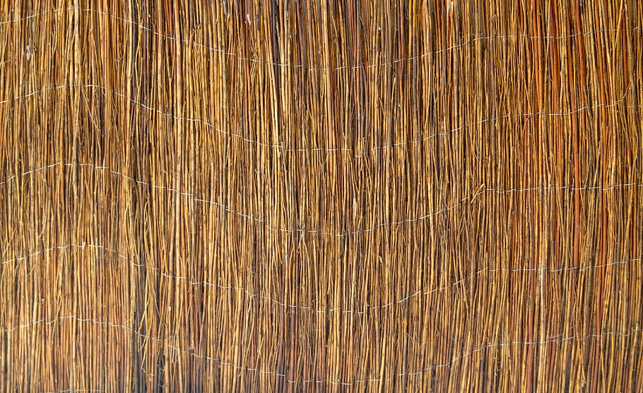 reed, fence, texture, pattern, nature, wall, backgrounds, full frame, wood - material, textured