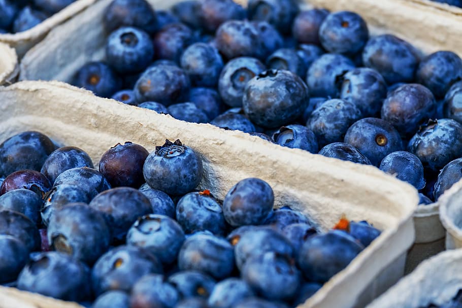 pile, fruits, basket, blueberries, berries, blue, fruit, delicious, healthy, food