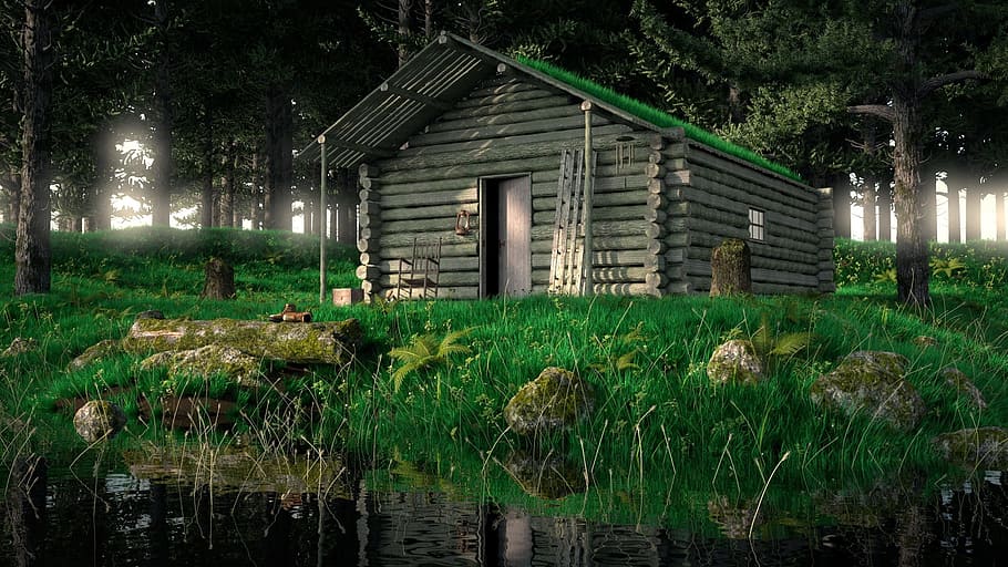 brown, log house, swamp, night time, rustic, trees, water, fishing, aged, wooden