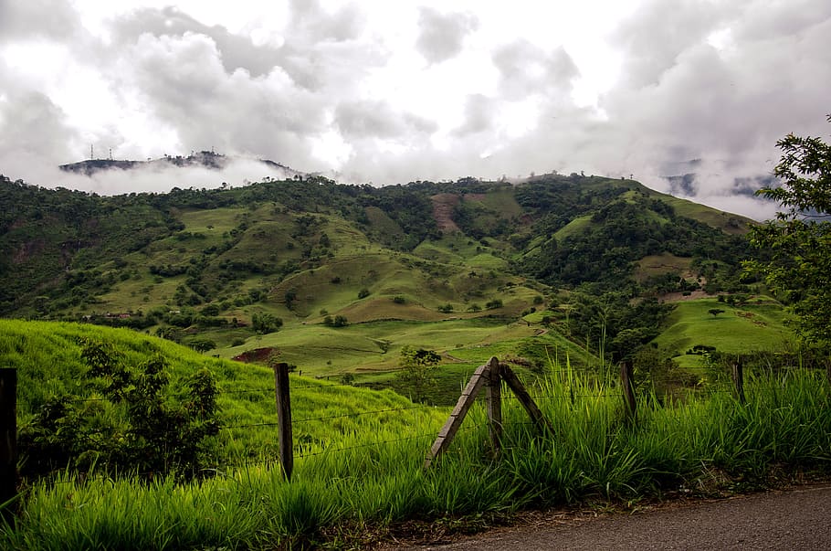 green, field landscape, cumulus clouds, Colombia, Coffee, Zone, Mountains, coffee zone, landscape, nature
