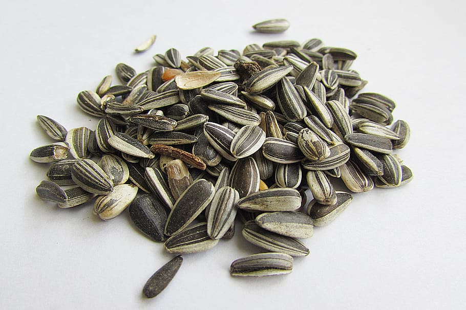 pile of seeds, sunflower seeds, shell, cores, food, food and drink, white background, studio shot, indoors, still life