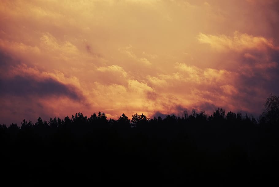 sunset, mountain, silhouette, trees, sunrise, sky, clouds, morning, nature, tree