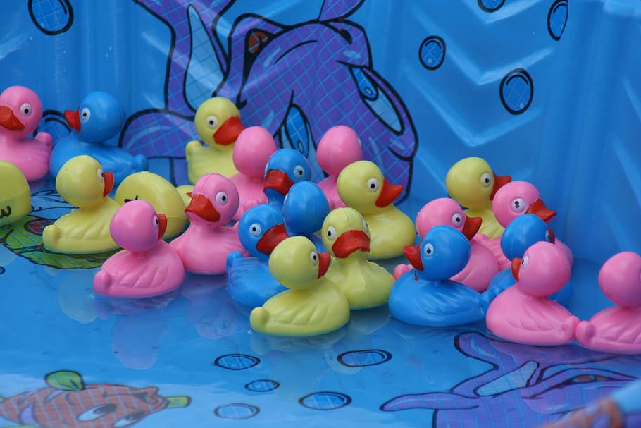 duck pond, carnival, fair, game, amusement, outdoor, toy, plastic, water, fairground