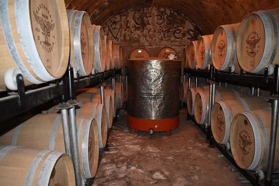 barrel, basement, barrels of tequila, process of tequila, mexico, mexican, drink, wine cellar, wine cask, cellar