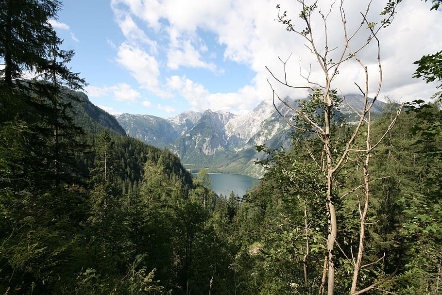berchtesgaden, national, park, Königssee, Berchtesgaden National Park, boiler wall, water, alpine, watzmann, mountains