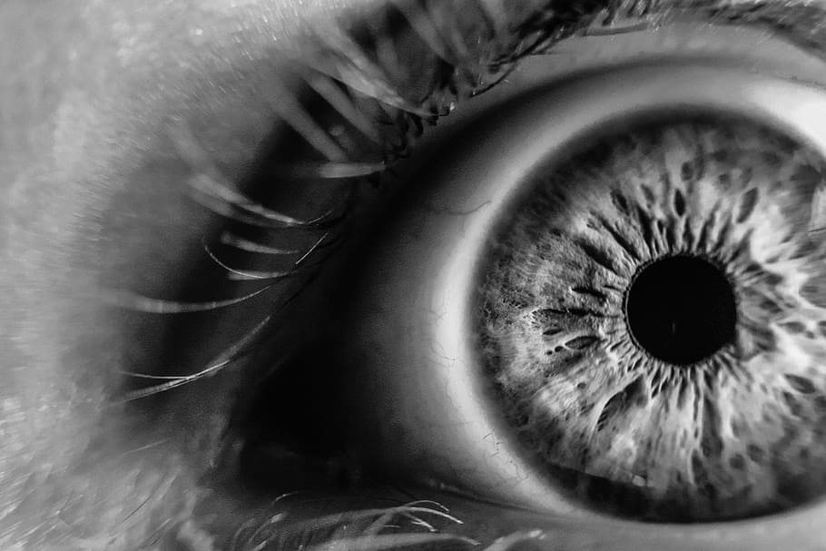 grayscale photo, human, eye, blur, close-up, eye lashes, iris, macro, monochrome, pupil
