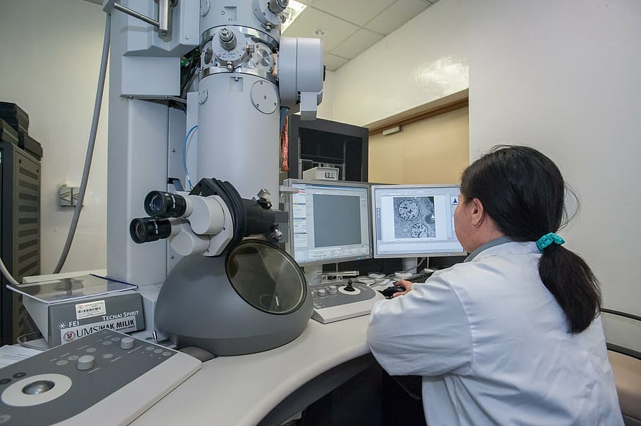 woman, looking, monitor, transmission electron microscope, universiti malaysia sabah, biotechnology research institute, machinery, mature adult, industry, occupation