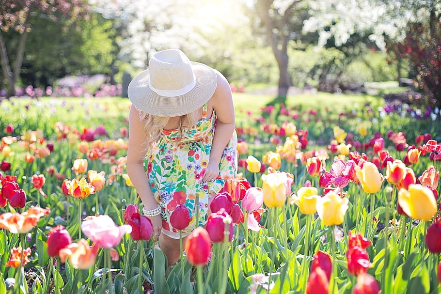 women, picking, flowers, daytime, spring, tulips, pretty woman, young woman, springtime, female