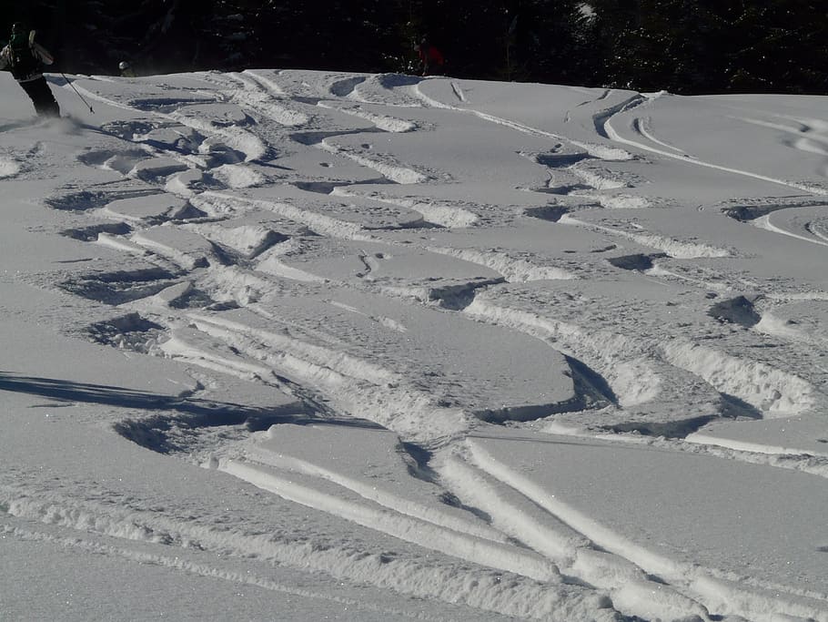 Esquí, Salida, Wag, Traza, Curvas, nieve en polvo, invernal, nieve profunda, nieve, invierno