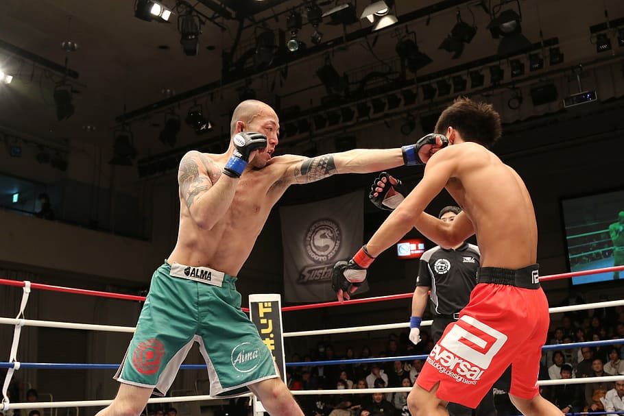two, men, fighting, inside, ring, wearing, grappling, gloves, mma, mixed martial arts