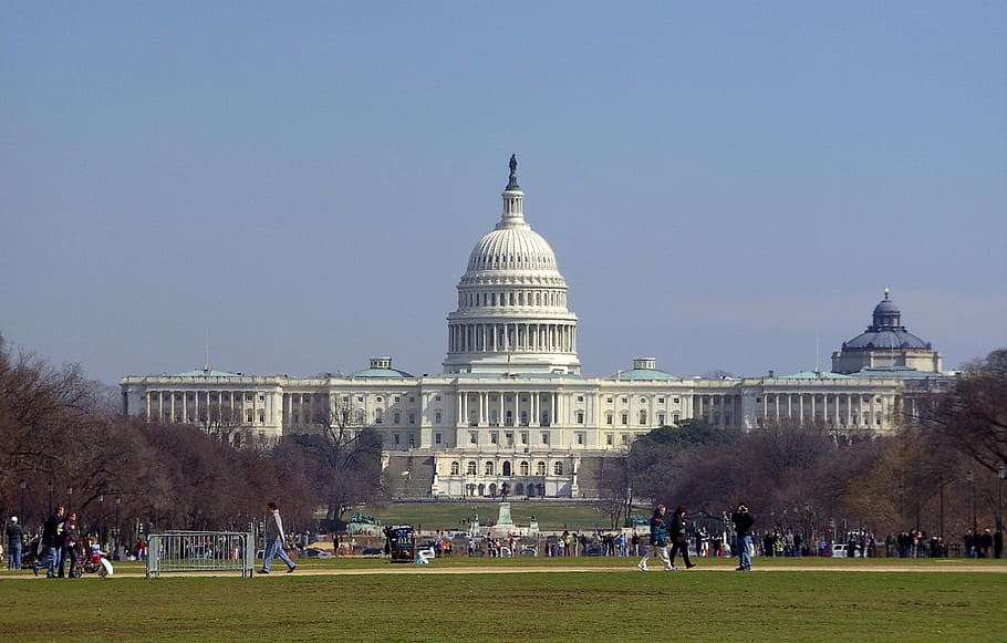 white, concrete, building, daytime, Washington, Usa, United States Capitol, architecture, capitol hill, congress