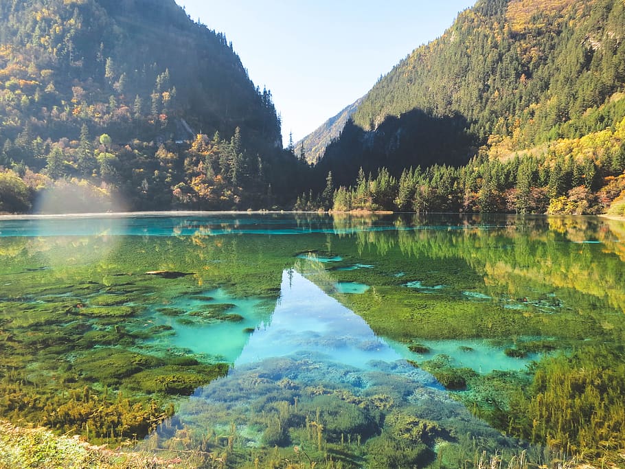 Lago, agua, árboles, montañas, colinas, naturaleza, Jiuzhaigou, China, belleza en la naturaleza, montaña
