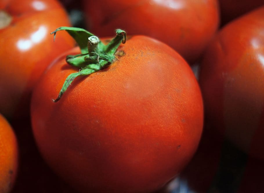 Tomato, Vegetable, Fresh, Dinner, red, diet, food, healthy, organic, vegetarian