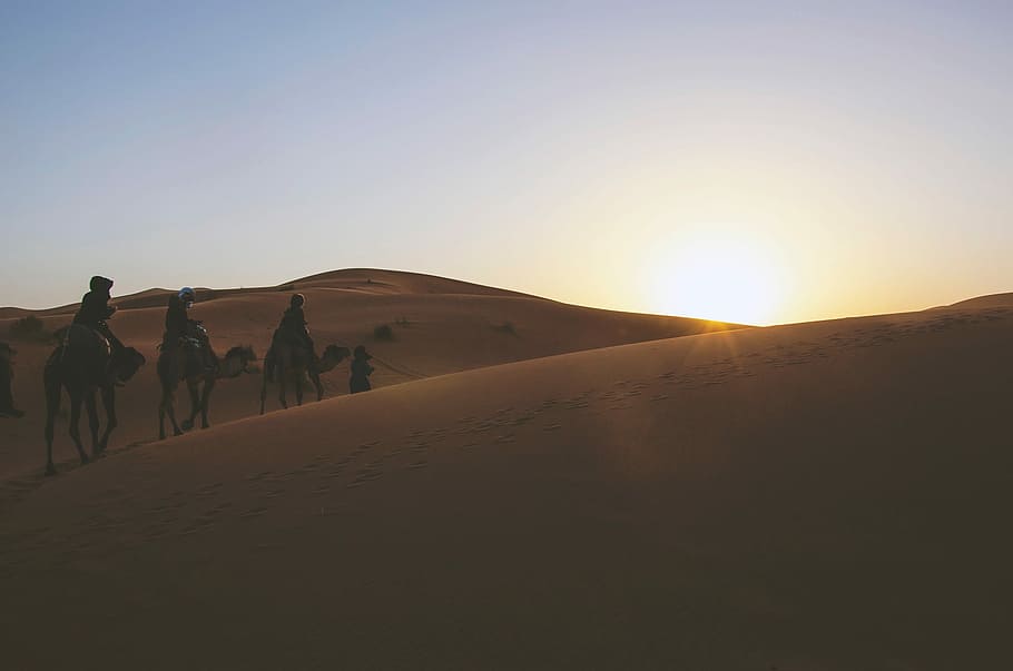 three, people, riding, camels, dessert, daytime, desert, camel, sand Dune, nature