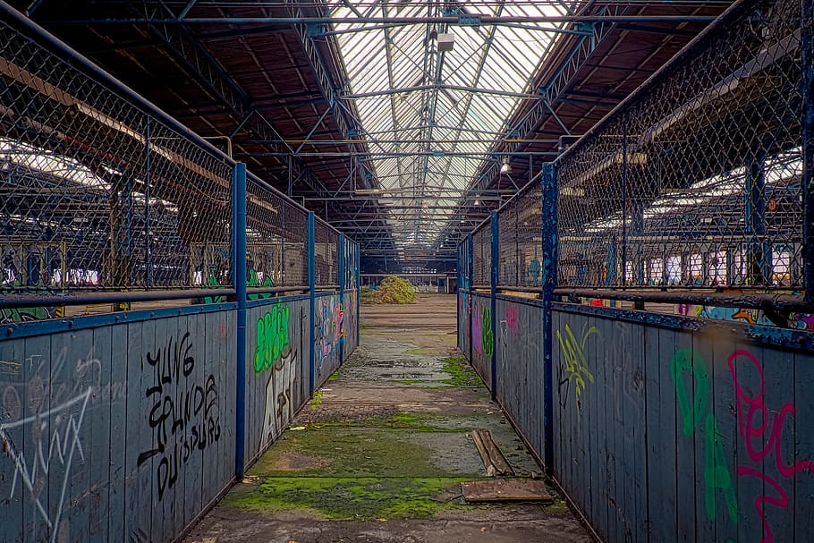 盛り合わせ, 落書き, 内部, 青, 倉庫, 失われた場所, pforphoto, 古い工場, 残す, 崩壊