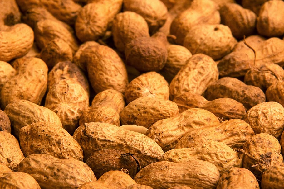 peanut, peanuts, dried fruit, doré, food, eat, food and drink, large group of objects, freshness, abundance