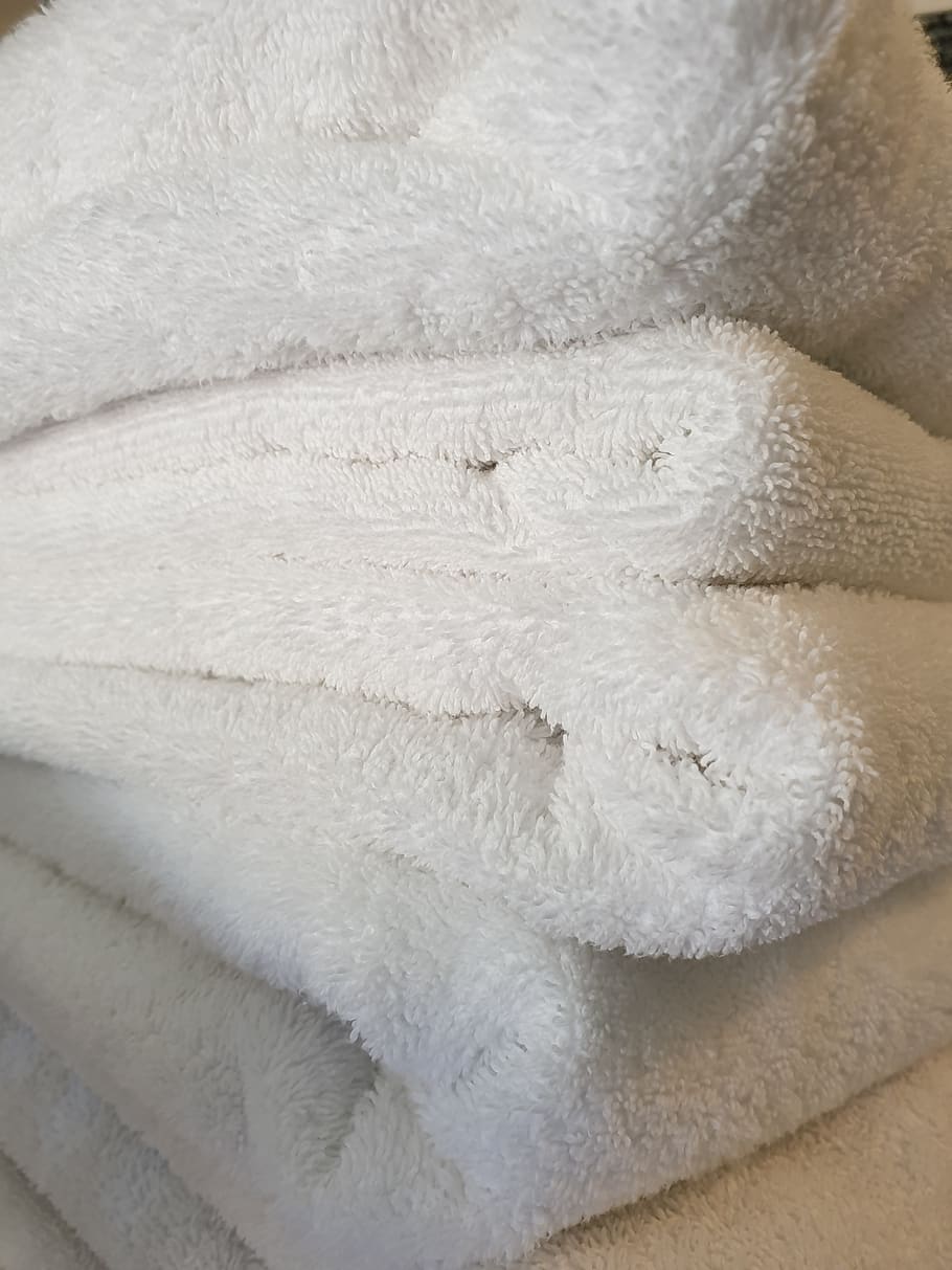 towels, folding, laundry, linen, white, indoors, softness, white color, relaxation, animal
