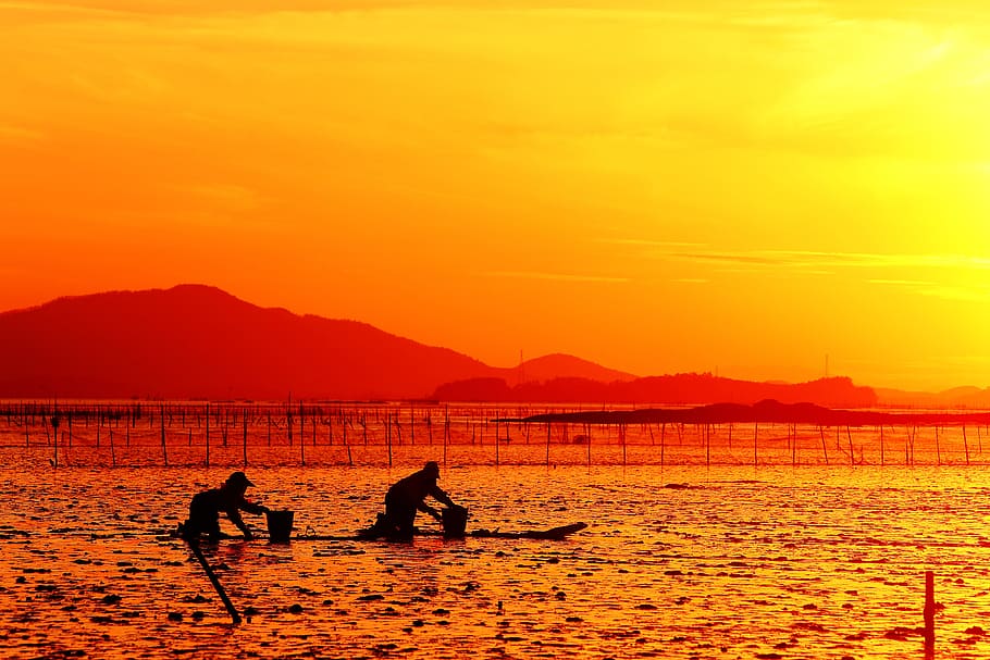 república de corea, resplandor, suncheon bay, puesta de sol, en la noche, silueta, agua, color naranja, cielo, belleza en la naturaleza