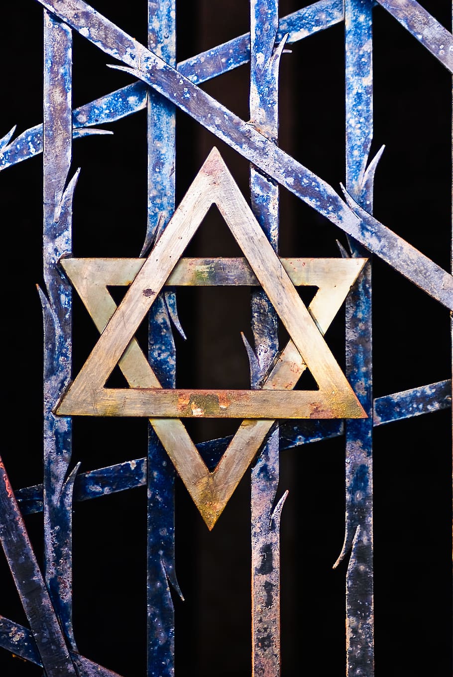 gold star, david emblem, Star Of David, Judaism, Grid, Thorns, Kz, dachau, memorial, konzentrationslager