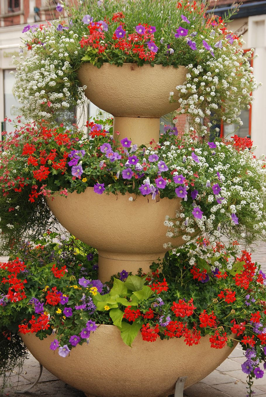 planter, flower pot, flower, pot, decoration, flowering plant, plant, freshness, vulnerability, close-up