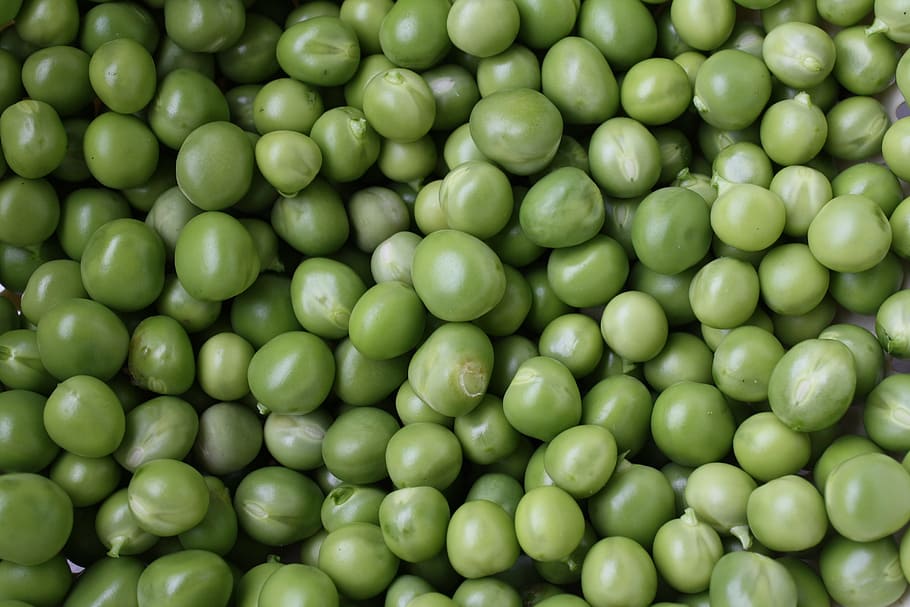 pea, in-natura, plant, food, food and drink, green color, healthy eating, full frame, freshness, abundance