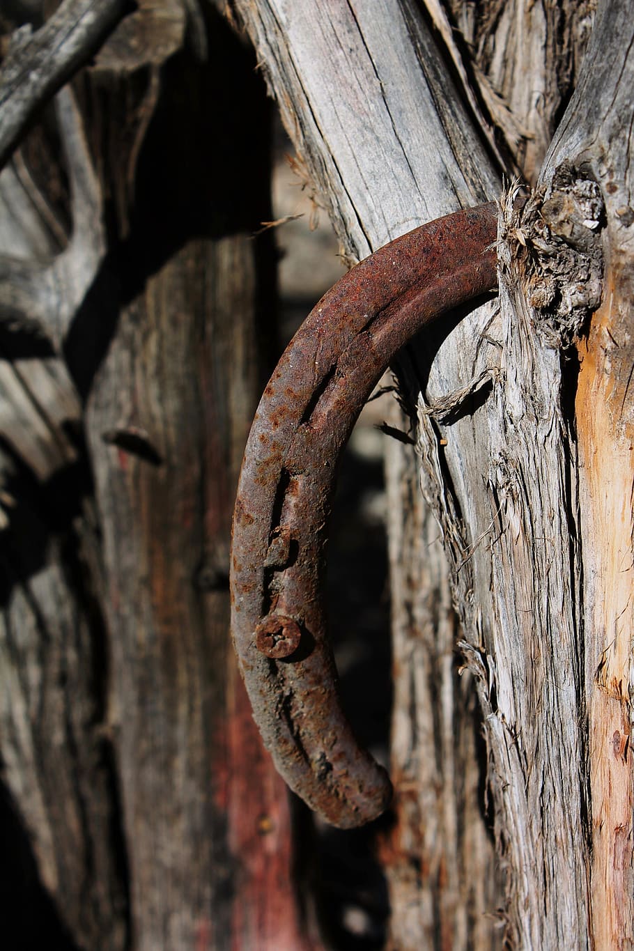horseshoe, rusted, iron, vintage, antique, western, wooden, brown, horse shoe, good luck charm