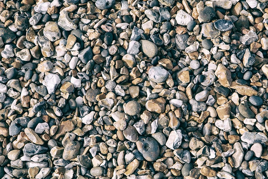 非常に, 詳細な, ショット, 小石のビーチ, イギリス。, キャプチャされた, キヤノン5, 5 d, ケント, イングランド