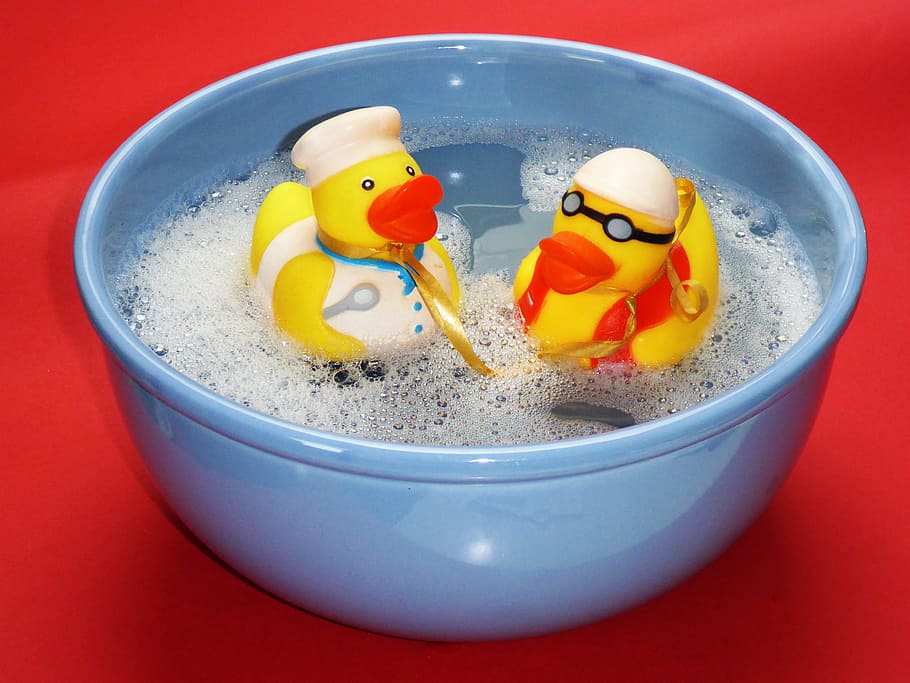 two, rubber ducks, round, blue, bowl, bubbles, bath, splashing, ducks, joy