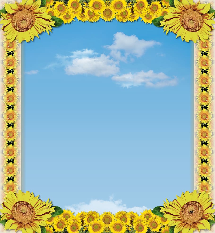 abstract, postcard, frame, clearance, template, creativity, decorative, sunflower, yellow, sky