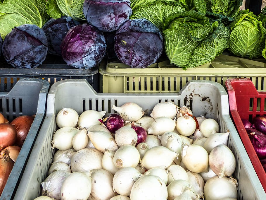 mercado, cebola, repolho, legumes, planta, comida, outono, vegetais, comida e bebida, alimentação saudável