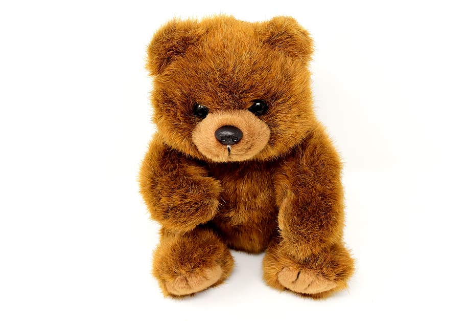 coklat, beruang, mewah, mainan, teddy, mainan lunak, boneka binatang, boneka beruang, lucu, anak-anak