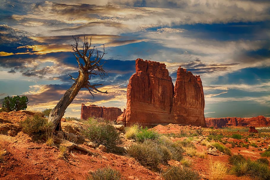 grand canyon painting, bryce canyon, usa, canyon, bryce, national, park, landscape, rock, scenic